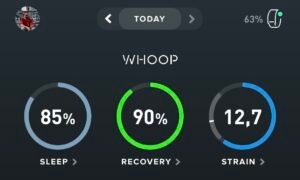 Overwiew van herstel scores binnen WHOOP app